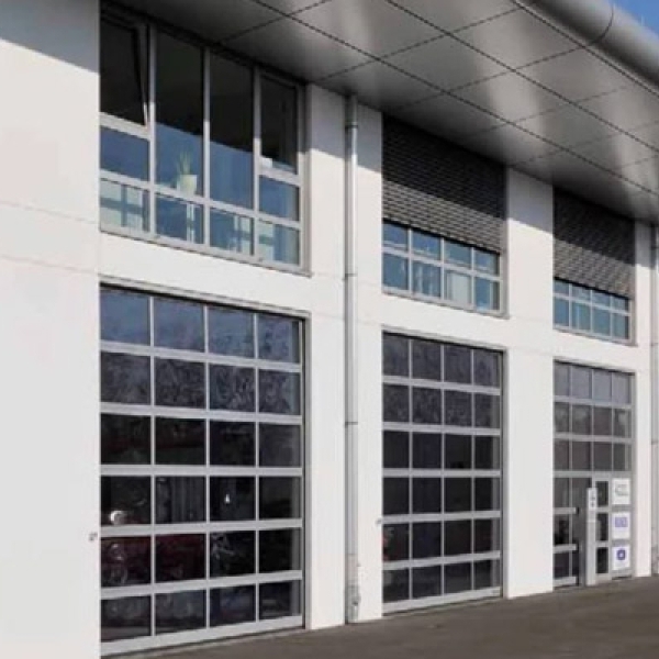 Панорамные ворота Hormann ALR F42