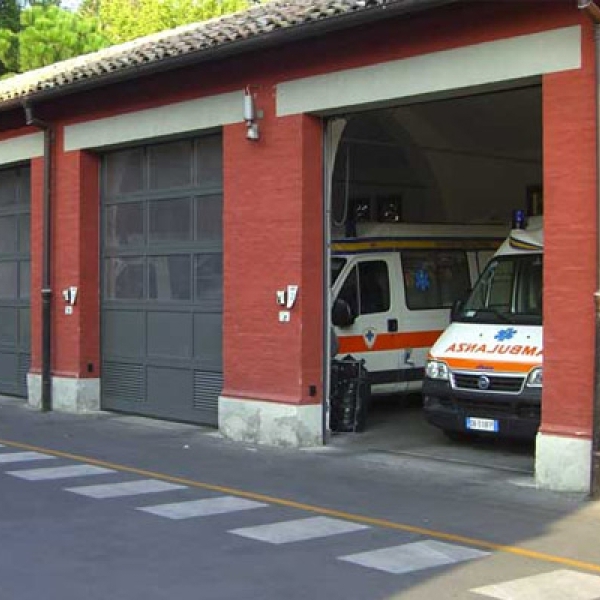 Панорамные ворота Hormann APU F42